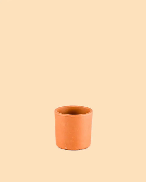 Super Mini Maceta – 7cm - Pur Plant