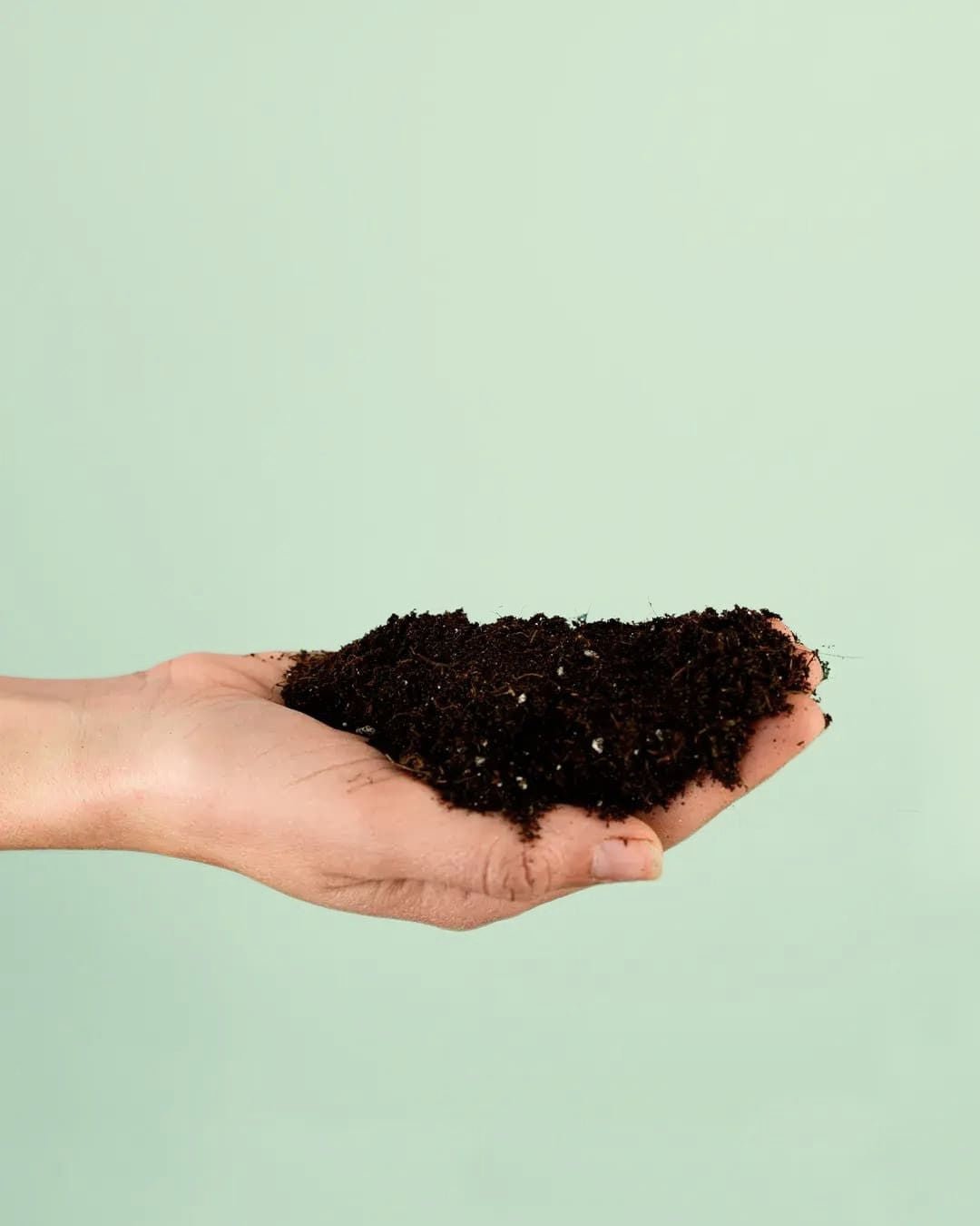 Sustrato Orgánico para Plantas de Interior 3L - Pur Plant