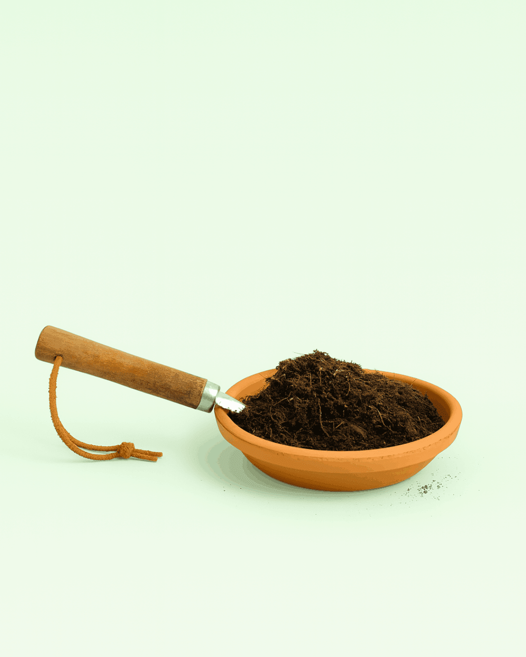 Sustrato Orgánico Plantas De Exterior 3L - Pur Plant