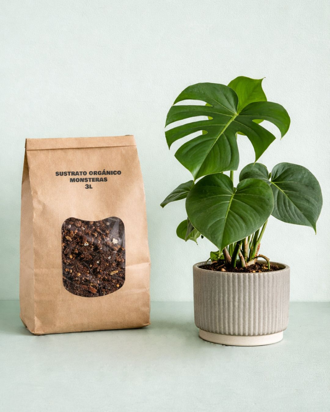 sustrato para monsteras