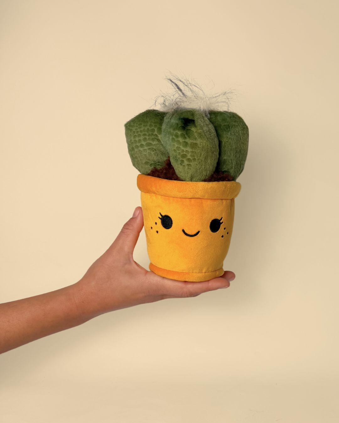 toy-plant-cactus-mano