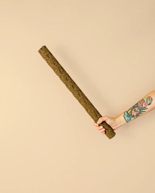 Tutor Natural para Plantas 51 cm - Pur Plant