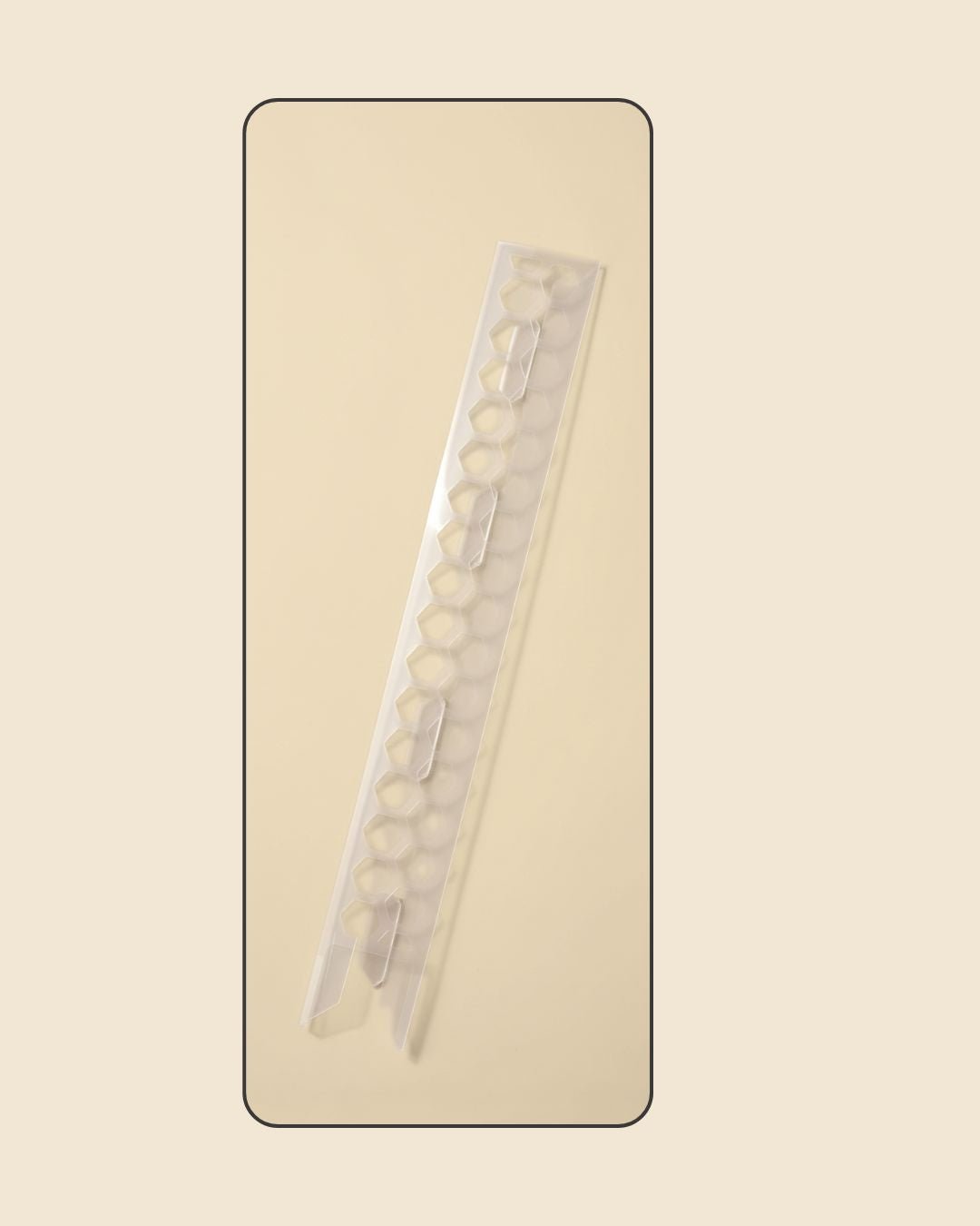 Tutor Transparente de Musgo 30 cm - Pur Plant