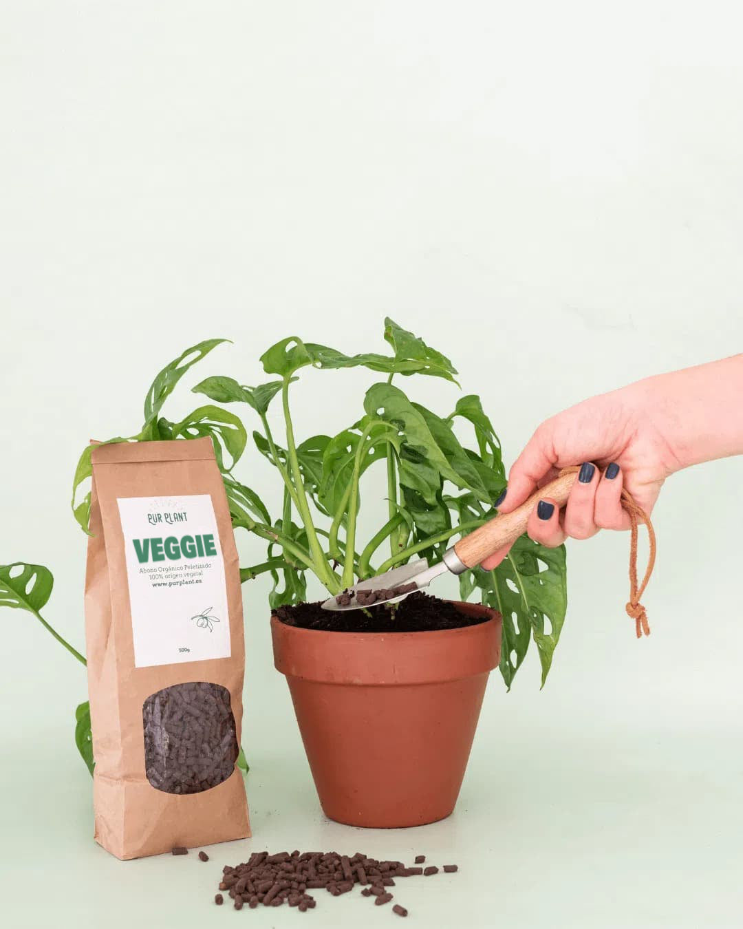 veggie-biopellet-planta-contexto