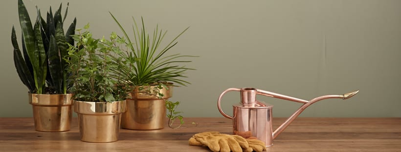 5 Consejos Para Ahorrar Agua En El Jardín - Pur Plant