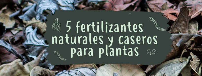 5 Fertilizantes Naturales Y Caseros Para Plantas - Pur Plant