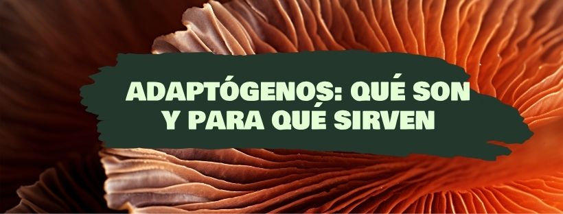 Qué son los adaptógenos y para qué sirven