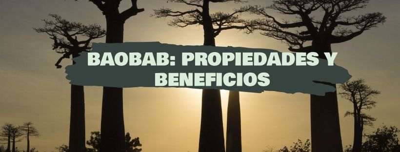 Baobab: Qué Es, Propiedades Y Beneficios