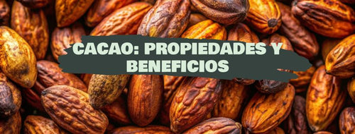 Cacao: Propiedades Y Beneficios
