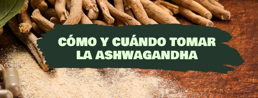 Cómo y Cuándo Tomar la Ashwagandha