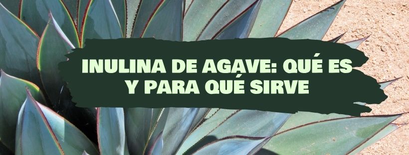 Inulina de Agave: Qué Es Y Para Qué Sirve