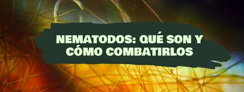 Nematodos: Qué son y cómo combatirlos en plantas