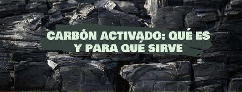 Carbón Activado: Qué Es Y Para Qué Sirve