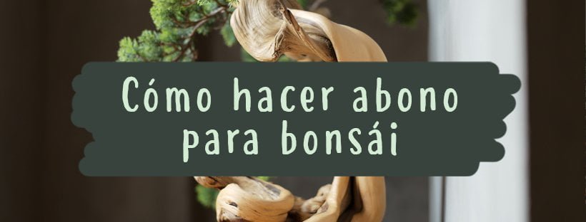 Cómo Hacer Abono Para Bonsái