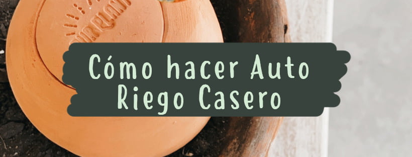 Cómo Hacer Autorriego Casero Para Plantas