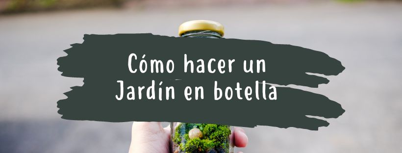 Cómo Hacer Un Jardín En Botella