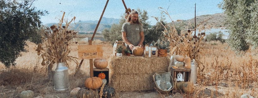 ¿Cómo Hacer Maceteros De Calabazas?