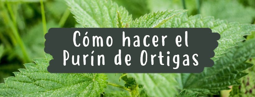 Cómo Hacer Purín De Ortigas (Paso A Paso)