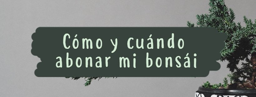Cómo Y Cuándo Abonar Tu Bonsái