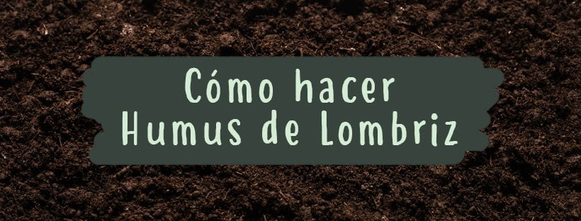 Cómo Hacer Humus De Lombriz (Paso A Paso)