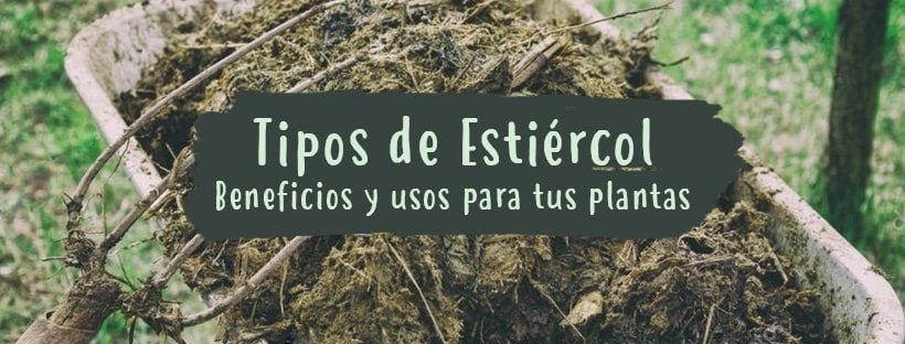 Estiércol: Tipos, Beneficios Y Usos Para Tus Plantas