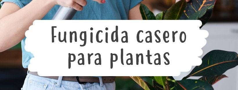 Fungicida Casero Para Plantas: 2 Recetas Fáciles
