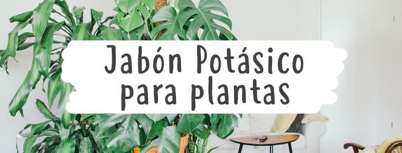 Jabón Potásico Para Todo Tipo De Plantas - Pur Plant