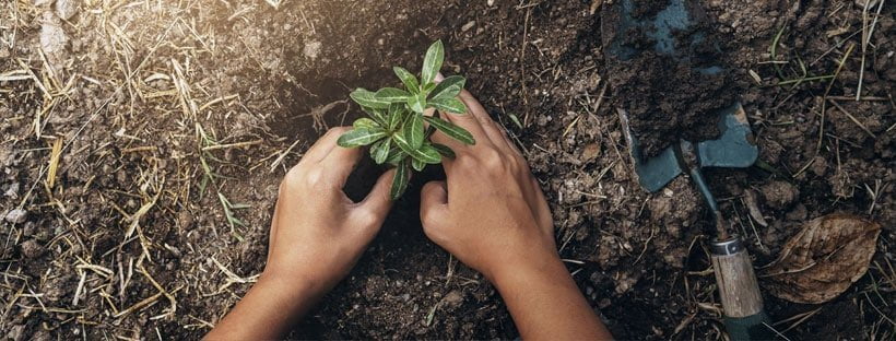 La Solución Al Calentamiento Global Está En El Suelo