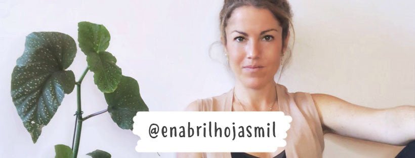Las 7 Plantas De Interior Favoritas De Natalia