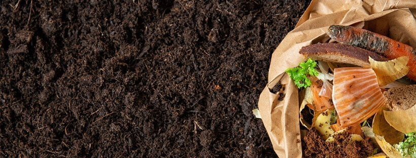 Los Mejores Abonos Orgánicos Para Las Plantas