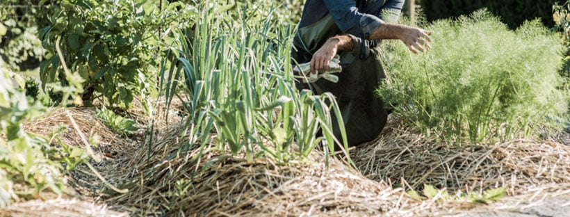 ¿Qué Es El Acolchado Y Por Qué Utilizarlo?