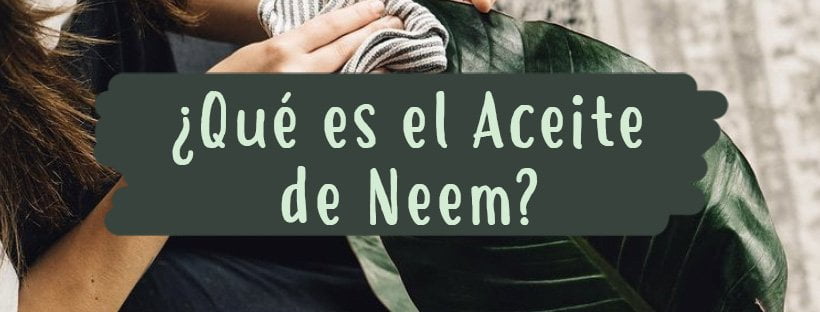 Qué Es El Aceite De Neem: Usos Y Propiedades