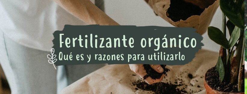 Qué Es El Fertilizante Orgánico: Uso Y Beneficios
