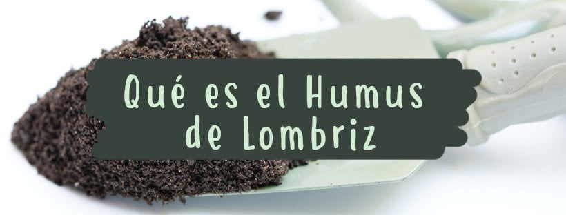 ¿Qué Es El Humus De Lombriz?