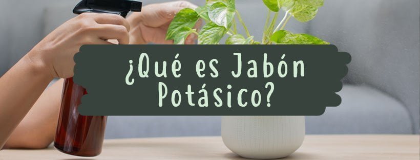Qué Es Jabón Potásico: Usos Y Propiedades - Pur Plant