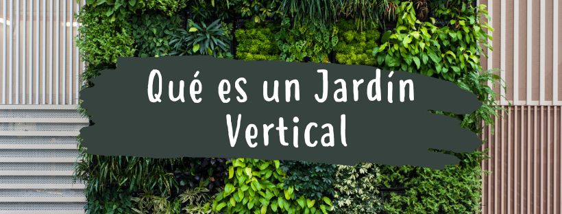 Jardín Vertical: Qué Es Y Para Qué Sirve