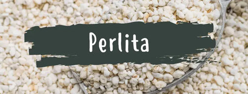 Perlita: Qué Es & Para Qué Sirve