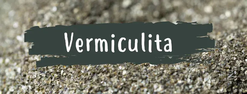 Vermiculita: Qué Es & Para Qué Sirve