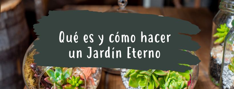 Qué Es Y Cómo Hacer Un Jardín Eterno