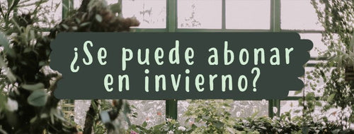 ¿Se Puede Abonar Las Plantas En Invierno?