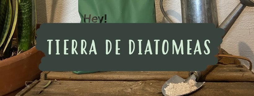 Tierra De Diatomeas: Qué Es Y Para Qué Utilizarla