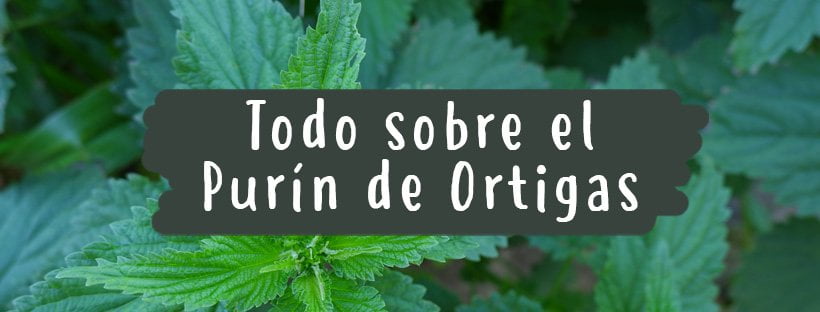 Purín De Ortigas: Todo Lo Que Necesitas Saber