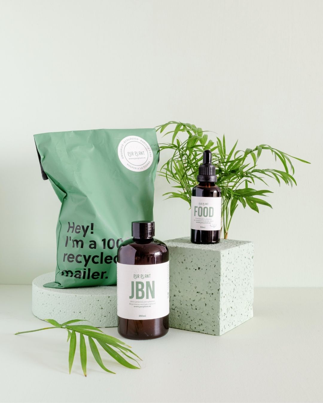 Cuidados para Plantas - Pur Plant