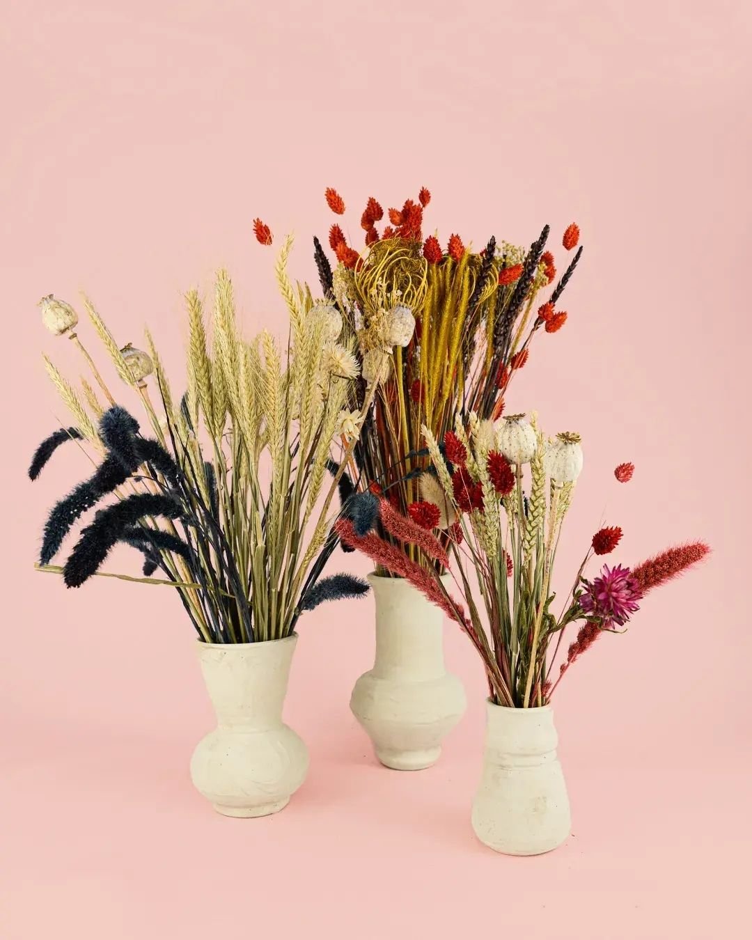 Flores Preservadas - Pur Plant