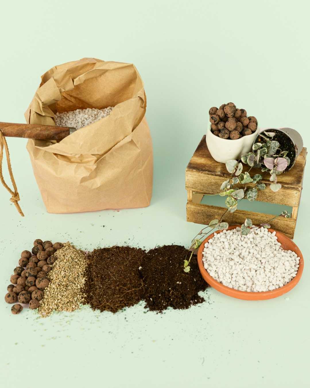 Ingredientes de Sustrato - Pur Plant