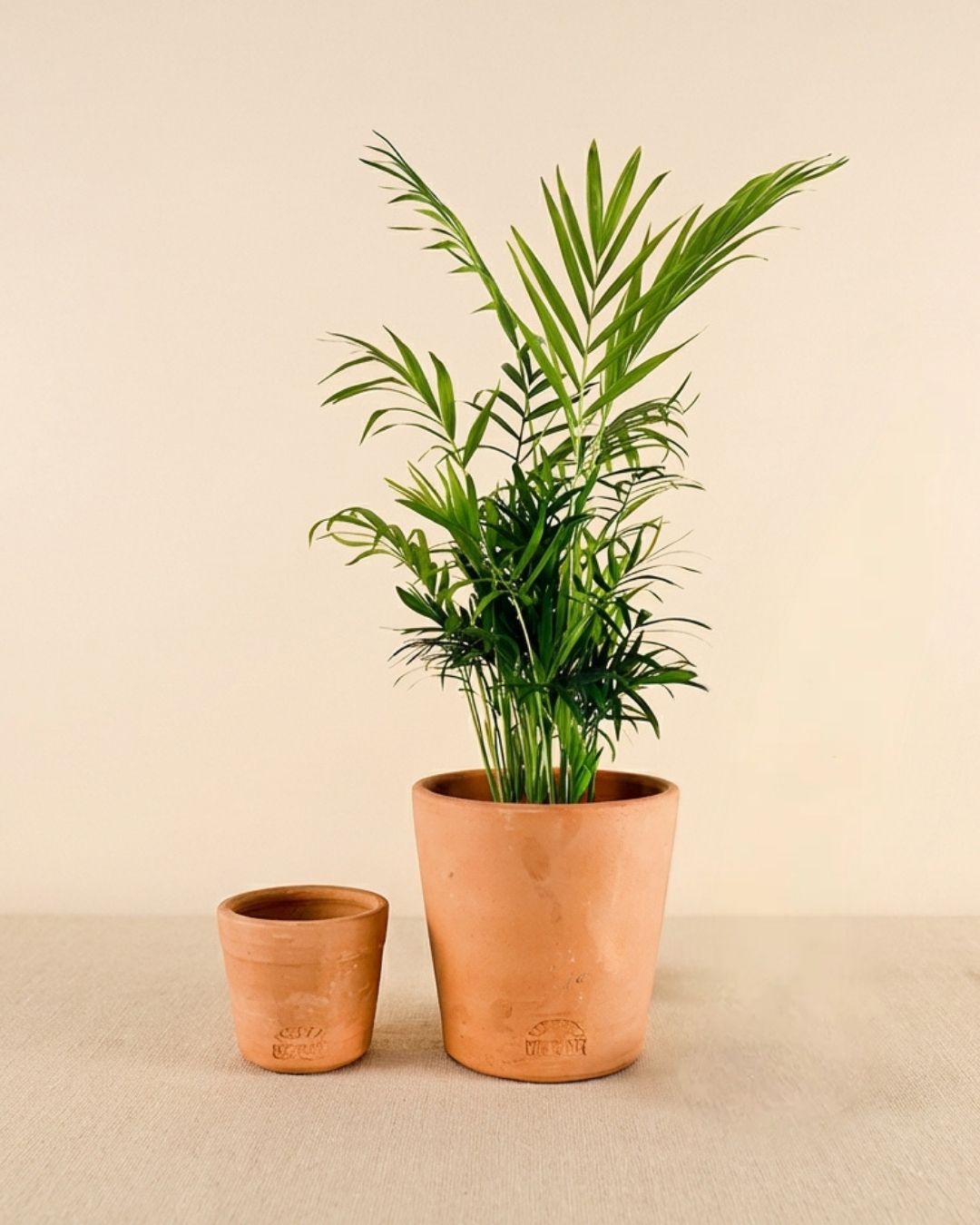 Macetas Artesanales - Pur Plant