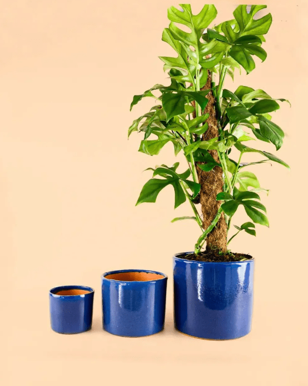 Macetas Azules - Pur Plant