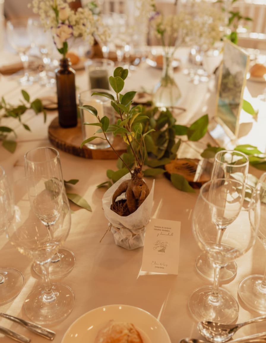 Plantas para Regalo en Bodas - Pur Plant