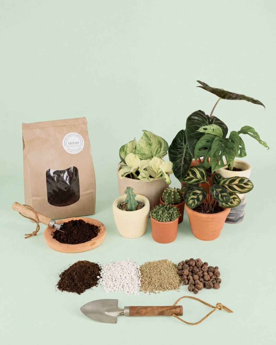 Sustratos Orgánicos para Plantas - Pur Plant