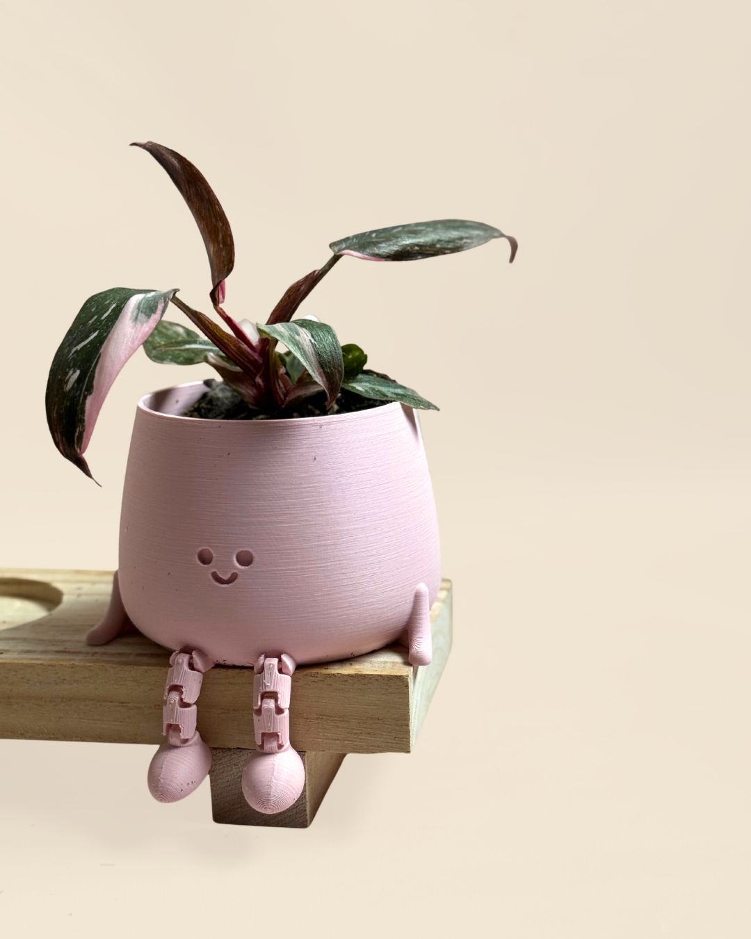 mini happy pot rosa pastel planta philo